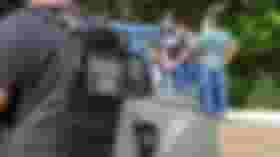 É uma imagem do post com o título Concurso PC BA: edital de 2022 é prorrogado por mais um ano
