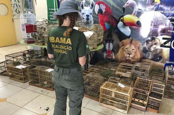 É uma imagem do post com o título Concurso Ibama: MPF instaura processo para acompanhar nomeações