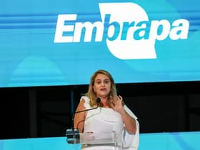 É uma imagem do post com o título Presidente confirma novo concurso Embrapa após 15 anos