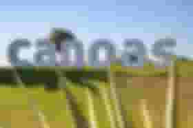 É uma imagem do post com o título Concurso Canoas RS: saem editais para níveis médio e superior