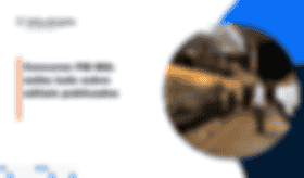 É uma imagem do post com o título Concurso PM MG: saiba tudo do edital para oficias e soldados