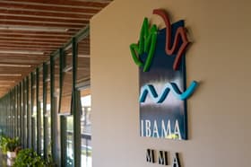 É uma imagem do post com o título Concurso Ibama está entre áreas prioritárias do governo para 2024