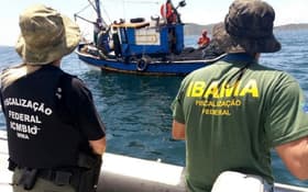É uma imagem do post com o título Concursos Ibama e ICMBio: veja cargos administrativos confirmados