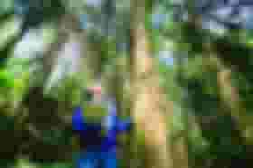 É uma imagem do post com o título Secretária anuncia concurso Cetesb SP 2023 com mais de 200 vagas