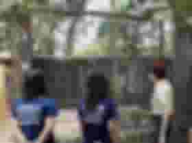 É uma imagem do post com o título Concurso Adema SE: governador confirma novo edital com 55 vagas