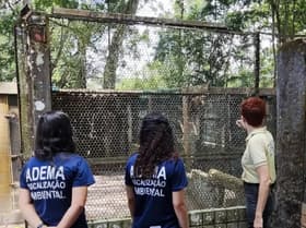 É uma imagem do post com o título Concurso Adema SE: governador confirma novo edital com 55 vagas