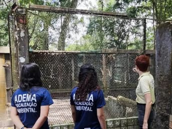 É uma imagem do post com o título Concurso Adema SE: governador confirma novo edital com 55 vagas