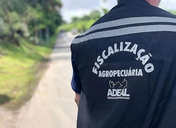 É uma imagem do post com o título Concurso Adeal tem comissão organizadora formada; 40 vagas!