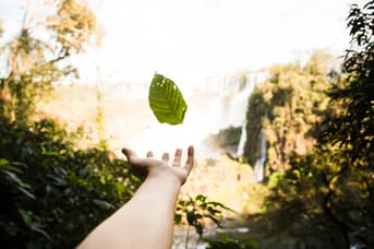 É uma imagem do post com o título Concursos Ambientais: ICMBio, Ibama e Jardim Botânico autorizados