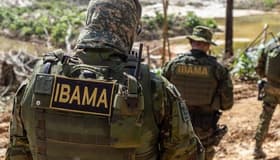 É uma imagem do post com o título Quem trabalha no IBAMA e no ICMBio tem porte de armas?