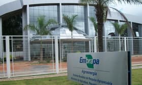É uma imagem do post com o título Concurso Embrapa: confira a nota mínima para aprovação na prova