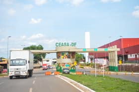 É uma imagem do post com o título Concurso Ceasa DF: comissão é formada para novo edital