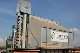 É uma imagem do post com o título Concurso Conab: empresa mantém previsão de edital este mês