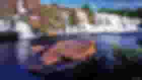 É uma imagem do post com o título ICMBio de Cipó-Pedreira - MG promove dois Processos Seletivos