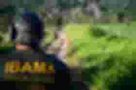 É uma imagem do post com o título Concurso Ibama: veja nota de corte do analista ambiental