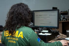 É uma imagem do post com o título Concurso Ibama: como se preparar a um mês das provas