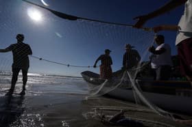 É uma imagem do post com o título Ministério da Pesca nomeará comissão para concurso com 264 vagas