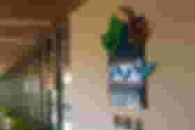 É uma imagem do post com o título Com aval previsto, novo concurso Ibama será solicitado este mês