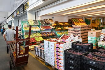 É uma imagem do post com o título Concurso Ceasa Campinas SP: sai edital com ganhos de até R$10 mil