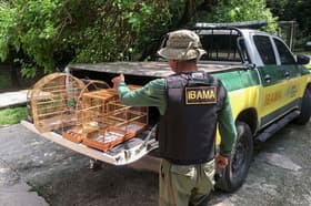 É uma imagem do post com o título Concursos Ibama e ICMBio: aval aguarda análise orçamentária
