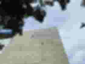 É uma imagem do post com o título MPF obtém decisão que obriga União a realizar concurso Antaq