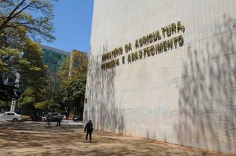 É uma imagem do post com o título Em meio ao concurso, Mapa abre 316 vagas temporárias em PSS