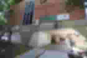 É uma imagem do post com o título Concurso Seduc PI: data das provas é novamente alterada