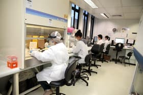 É uma imagem do post com o título Concurso Hemominas: comissão é formada para edital com 316 vagas