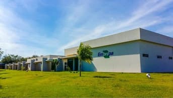É uma imagem do post com o título Último concurso Embrapa teve mais de 1.200 contratações