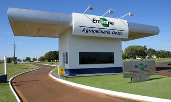 É uma imagem do post com o título Concurso Embrapa: o que estudar para assistente