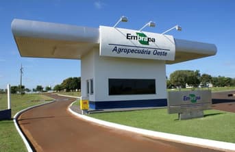 É uma imagem do post com o título Concurso Embrapa: entenda como funcionará a lotação dos aprovados
