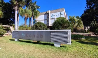 É uma imagem do post com o título Concurso Conab: quais disciplinas priorizar nos estudos