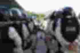 É uma imagem do post com o título Concurso Polícia Penal MG tem página criada e edital iminente