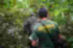 É uma imagem do post com o título Concurso Ibama: divulgada a nota final da prova discursiva