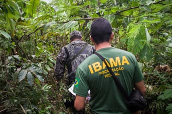 É uma imagem do post com o título Concurso Ibama: divulgada a nota final da prova discursiva