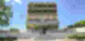 É uma imagem do post com o título Concurso TRE TO: veja a distribuição das vagas por cargos