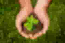 É uma imagem do post com o título O que estudar para concursos ambientais?
