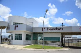 É uma imagem do post com o título Hemobrás cria comissão para avaliar necessidade de novo concurso