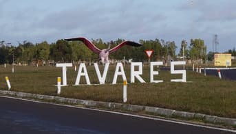 É uma imagem do post com o título Prefeitura de Tavares - RS promove novo Processo Seletivo