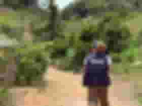 É uma imagem do post com o título Concurso IBGE tem mais de 39 mil vagas temporárias autorizadas