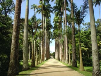 É uma imagem do post com o título Jardim Botânico RJ retifica pedido de concurso e aumenta oferta