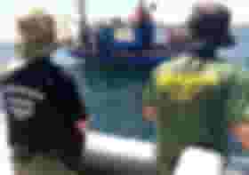 É uma imagem do post com o título Concursos Ibama e ICMBio recebem autorização para 201 excedentes