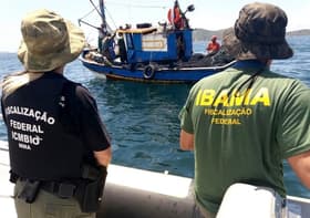 É uma imagem do post com o título Concursos Ibama e ICMBio recebem autorização para 201 excedentes