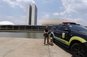 É uma imagem do post com o título Concurso Câmara dos Deputados de policial aceita tecnólogo? Veja!