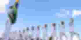 É uma imagem do post com o título Concurso Marinha terá novo edital para aprendiz até janeiro