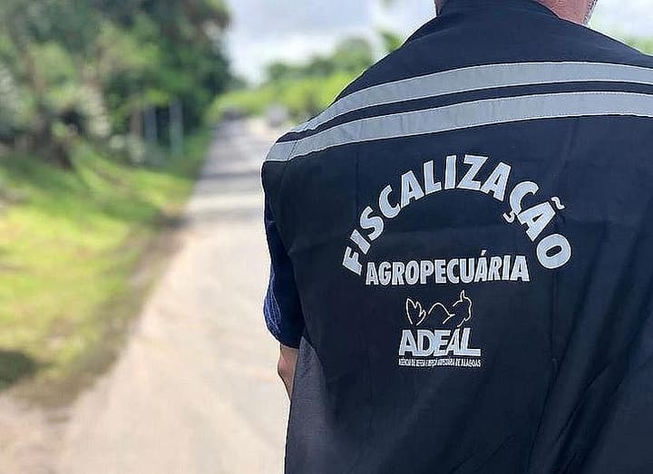Servidor da Adeal de costas em fiscalização