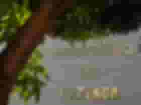 É uma imagem do post com o título Concurso Fazenda está em estudo e pode ser autorizado pelo MGI