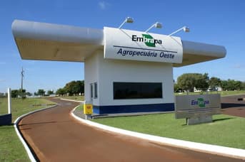 É uma imagem do post com o título Concurso Embrapa: banca alerta sobre pagamento da taxa; veja!