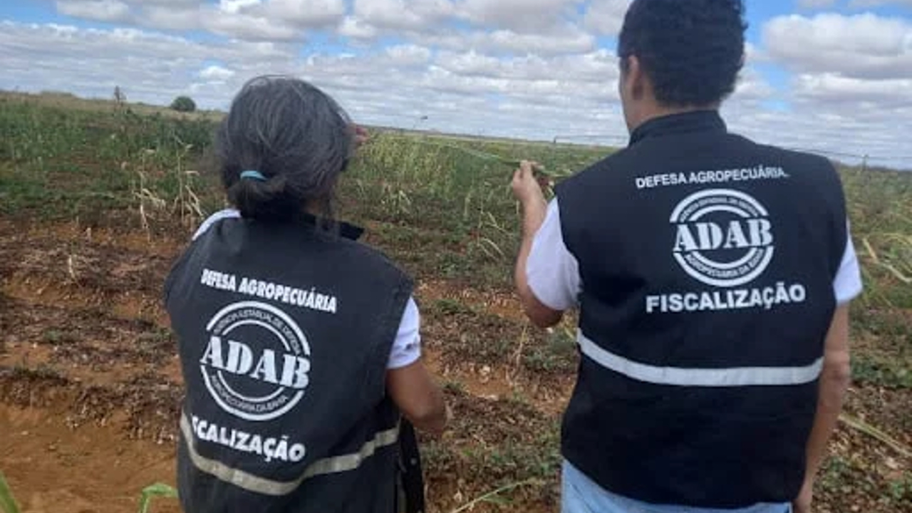 Concurso Adab tem edital republicado com 200 vagas | Folha Dirigida